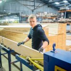Scaffold board quality grading process