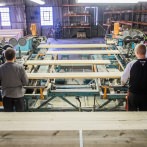 Grading of scaffold boards being produced